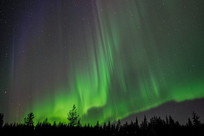 Northern Lights Hunting with a photographer (Only small groups) - Pickup in Rovaniemi: close to town, but flexible on purpose