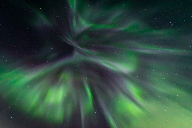 Northern Lights Hunting with a photographer (Only small groups) - Price and value: why $223.57 can make sense