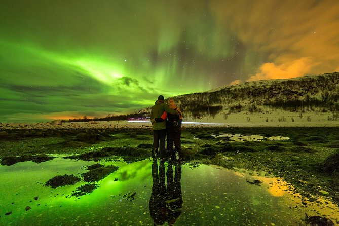 Northern Lights Photography Online Workshop - Wandering Owl classroom: how the 2-hour session works