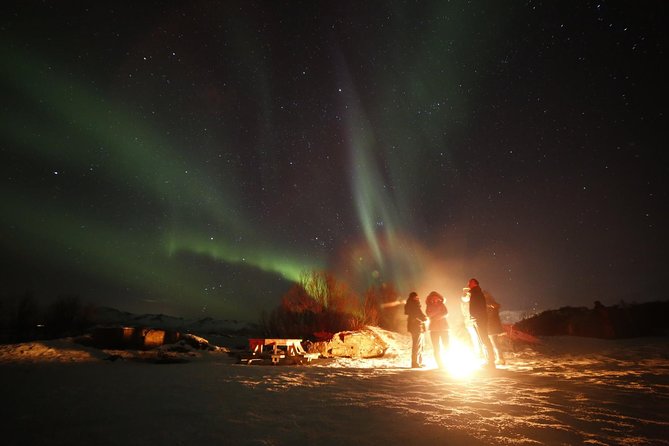 Northern lights photography tour - What you’ll likely experience during the 4 to 8 hour night