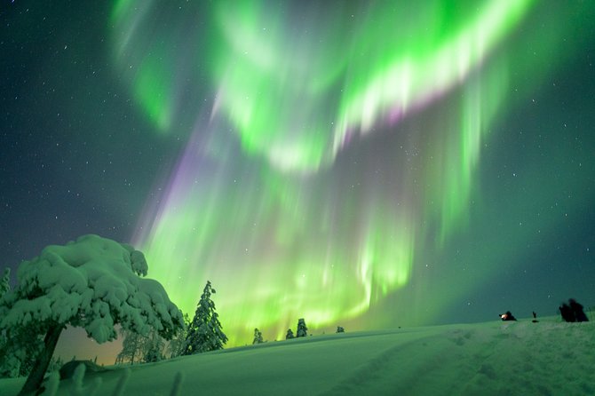 Northern Lights Photography Tour from Rovaniemi - Key things to know before you go