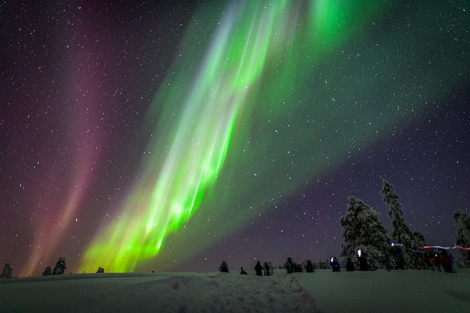 Northern Lights Photography Tour from Rovaniemi - Head to the Aurora Spot: Why Darkness and Direction Matter