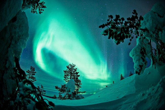 Northern Lights Photography Tour from Rovaniemi - Group Size and Personal Attention: What to Expect in the Real World