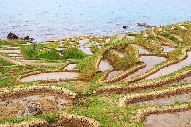 Noto peninsula 1 day/Photoshoot with professional photographer - Lunch in Wajima (and how your guide can shape the meal)