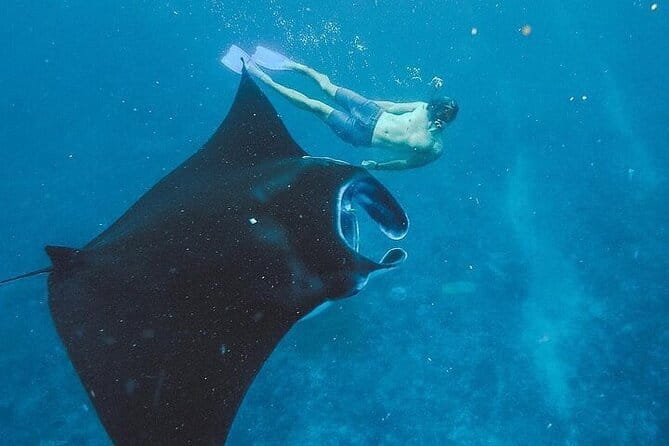 Nusa Penida Tour with Iconic Photography in Kelingking - What to Bring for Better Photos and a Smoother Day