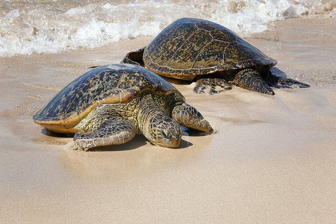 Oahu Island Photography Tour - A sample day with stops you can picture before you book