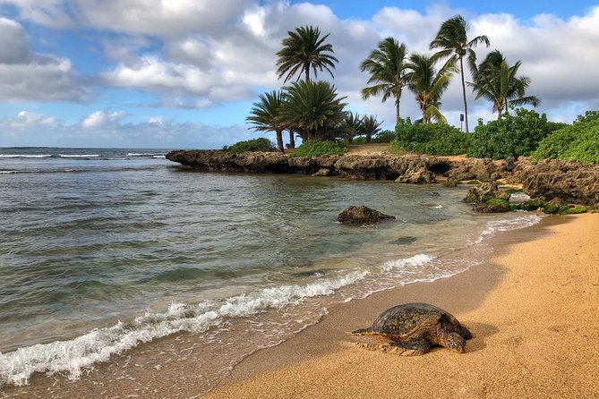 Oahu Island Photography Tour - Group size: small enough for help, big enough to feel social
