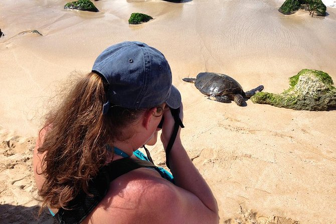 Oahu Island Photography Tour - Price and value: $150 for instruction plus gear and island driving
