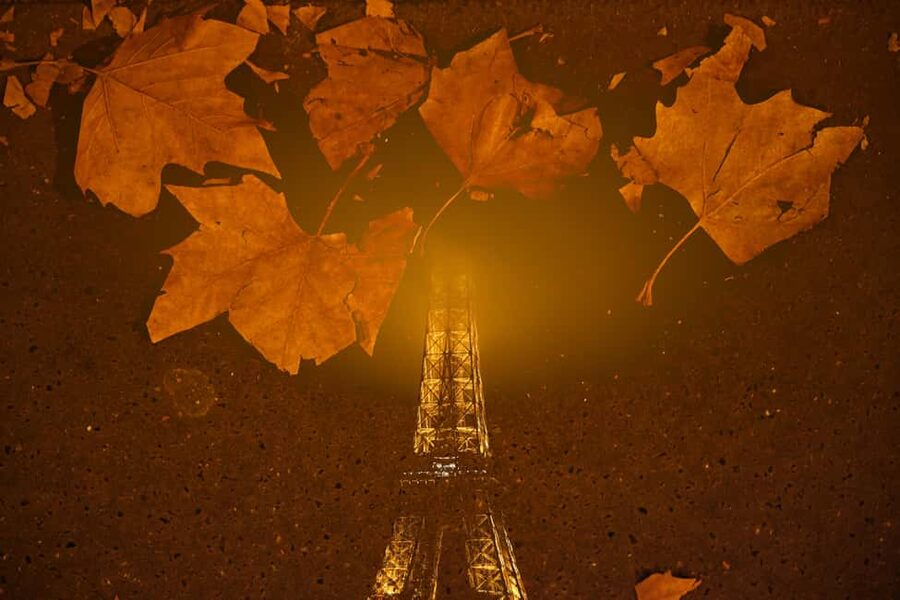 Paris: Experience the magic of Christmas on a walk with a pro photographer - Small group size: why it matters for your photos