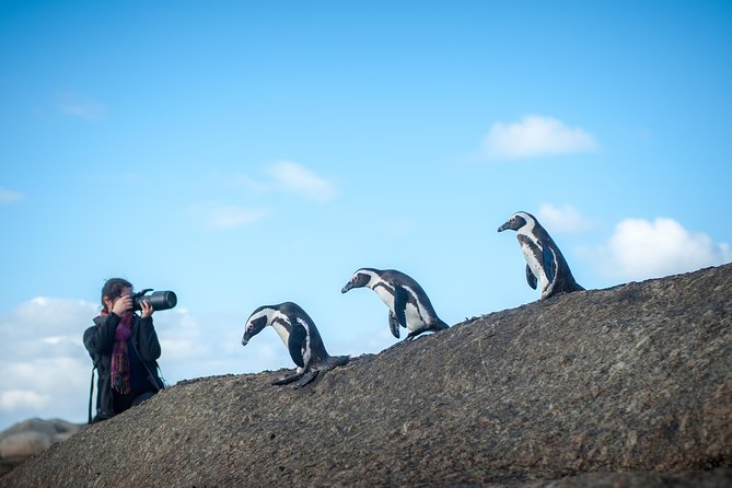 Peninsula Photography Tour - A 6:00 am start that’s actually worth it at Signal Hill