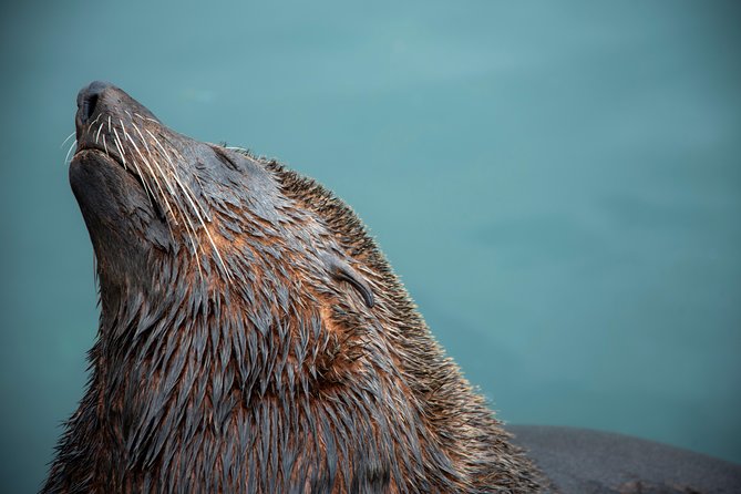 Peninsula Photography Tour - Price and value: is $270 per person fair for this mix?