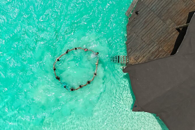 Photography and Filming with drone and camera - How price works for up to 6 people