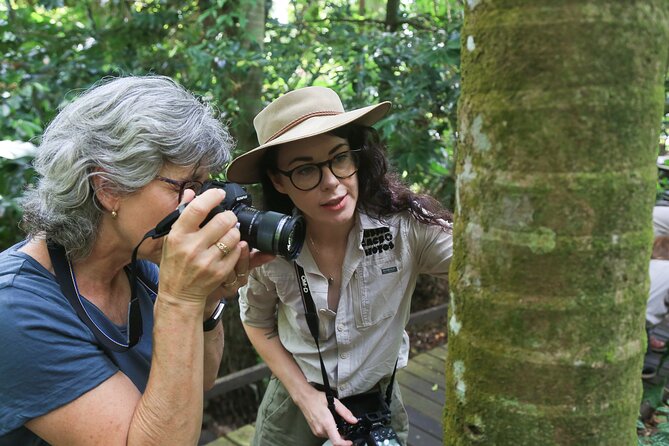 Photography and Nature in Cairns Botanic Gardens Let's Go Buggin - Practical tips before you go (so you get more keepers)