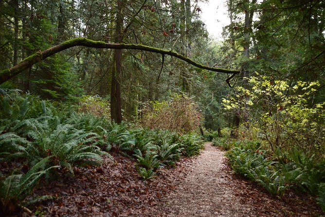 Photography, Hiking & Ferry to Bowen Island - Stop-by-stop: what each part of the day feels like