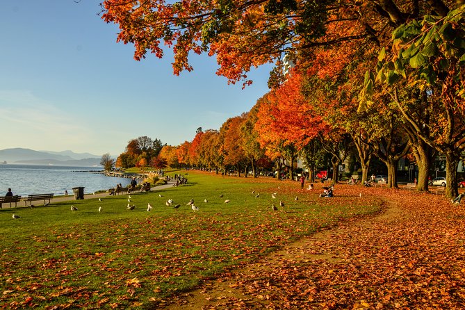 Photography & Hiking in Nature - Stanley Park stops: Totem Pole, seawall viewpoints, and the Hollow Tree