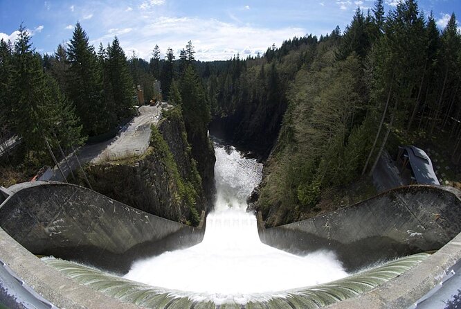 Photography in Rainforest & Suspension Bridge - Key Highlights You Should Know Before You Go