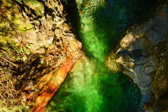 Photography in Rainforest & Suspension Bridge - Rain Makes Lynn Canyon a Photo Magnet