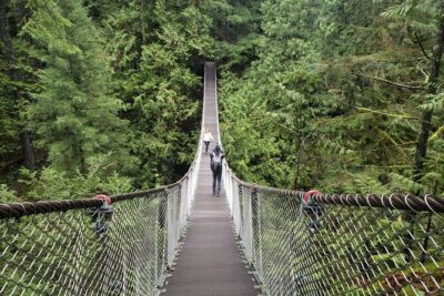 Photography in Rainforest & Suspension Bridge - How the Coaching Works for Phones and DSLRs