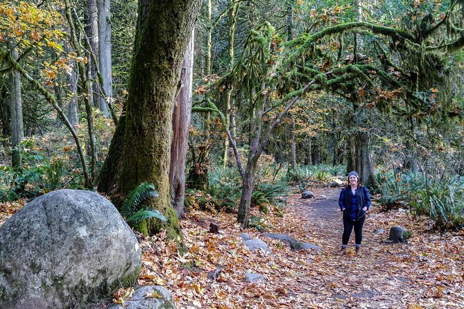 Photography in Rainforest & Suspension Bridge - Stop 2: Cleveland Dam for a Change of Pace