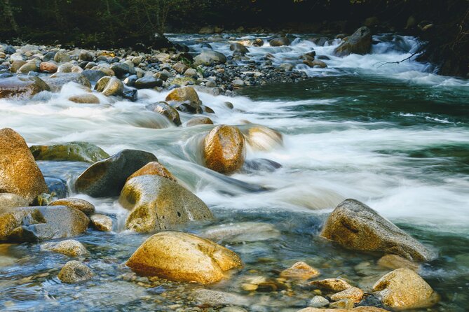 Photography in Rainforest & Suspension Bridge - Pace, Weather, and Real-World Trail Conditions
