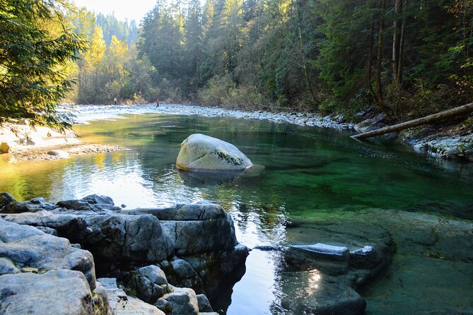 Photography in Rainforest & Suspension Bridge - Gear: What to Bring vs. What You Can Borrow