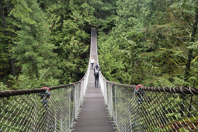 Photography in Rainforest & Suspension Bridge - How the Coaching Works for Phones and DSLRs