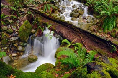 Photography & Intermediate Hiking - The hike reality check: steep climbs and stairs are the main test