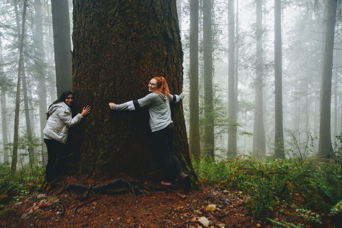 Photography & Intermediate Hiking - Stop 2: Quarry Rock hike, waterfalls to ocean lookouts
