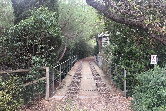 Photography route through the secret nature of Barcelona - Why Vallvidrera Feels Like a Secret Exit From Barcelona