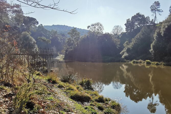 Photography route through the secret nature of Barcelona - Getting There: Train from Plaza Catalunya to Baixador de Vallvidrera
