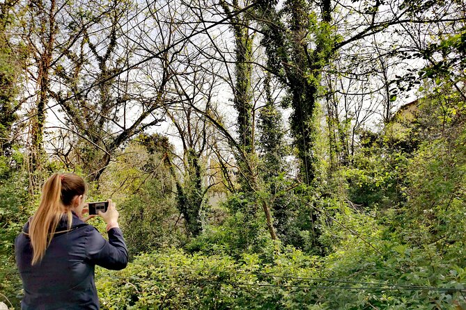 Photography route through the secret nature of Barcelona - Stop 4: Pantano de Vallvidrera, Modernist Dam, Turtle Colony, and Pond Life