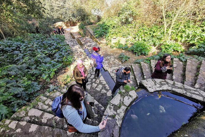 Photography route through the secret nature of Barcelona - Photography Tips That Make the 3 Hours Work