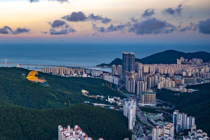 [Photography Tour] Busan Night Tour (Max. 7 Pax) - Songdo Skywalk Over the Sea: Your First “Wow” Frame