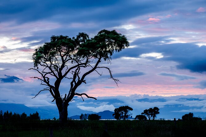 Photography Tour from Queenstown to Glenorchy - 1/2 Day - Stops, timing, and why dawn (or early light) matters here