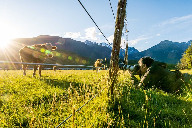 Photography Tour from Queenstown to Glenorchy - 1/2 Day - Practical comforts: pickup, snacks, and what to bring