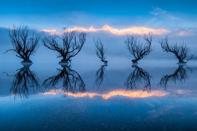 Photography Tour from Queenstown to Glenorchy - 1/2 Day - Who should book this, and who might skip it