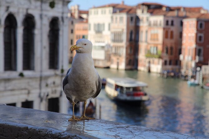 Photography workshop in the magical Venice (3h) - Piazza San Marco: making composition feel deliberate (not automatic)