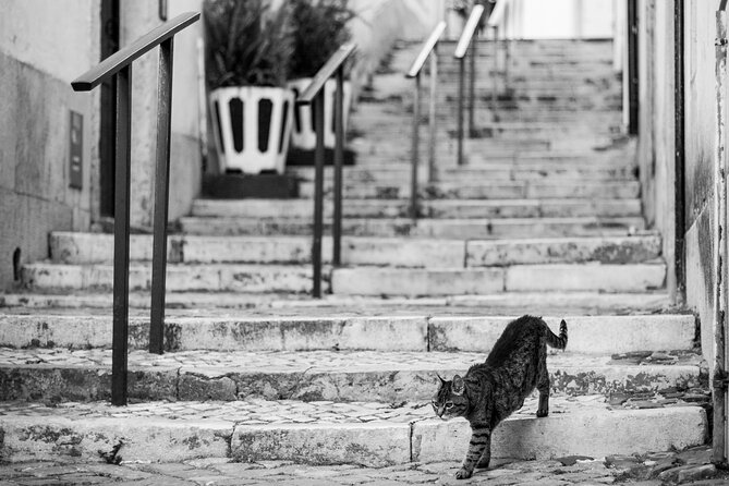 Photography Workshop-Tour in Alfama - Lisbon - Why Alfama Works So Well for a Photo Walk