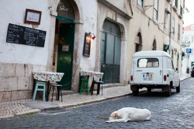 Photography Workshop-Tour in Alfama - Lisbon - Pedro’s Coaching: Practical Composition and Real Feedback