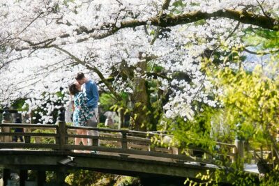Photoshoot session by professional photographer in Kanazawa - What the 1-hour vs 2-hour session means for your final photos