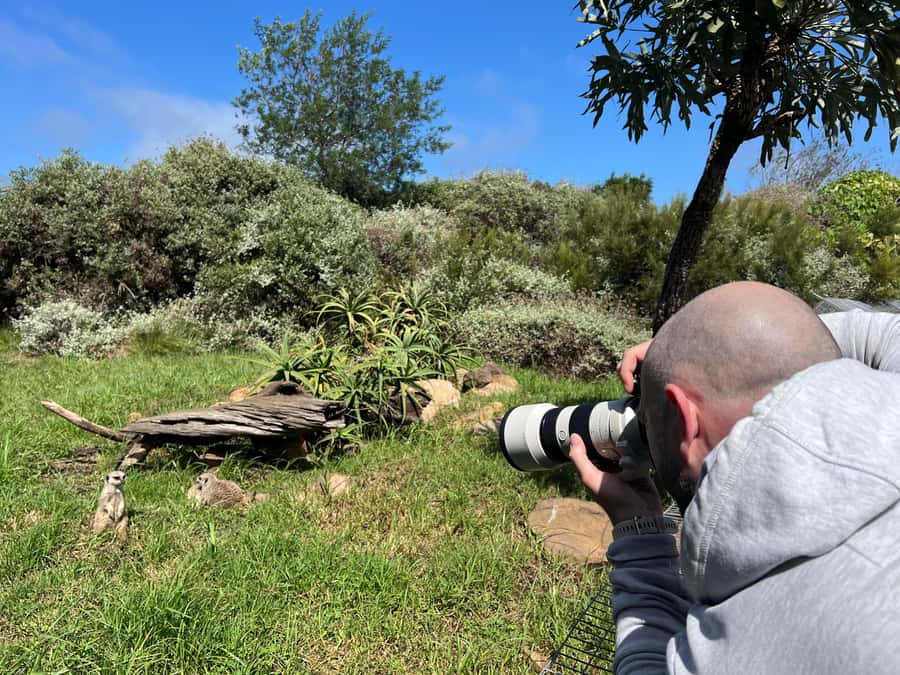 Plettenberg Bay: Private Guided Wildlife Photography Tour - Tenikwa’s rehabilitation mission, in plain terms