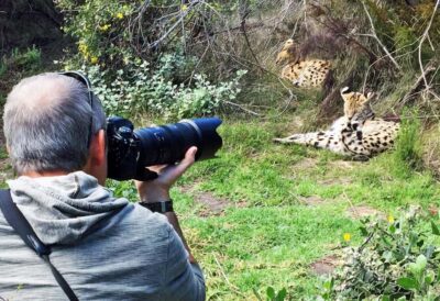 Plettenberg Bay: Private Guided Wildlife Photography Tour - Your 150-minute schedule: safety first, then photo time