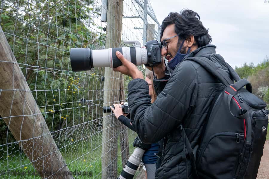 Plettenberg Bay: Private Guided Wildlife Photography Tour - Entering the leopard walkway: your challenge begins