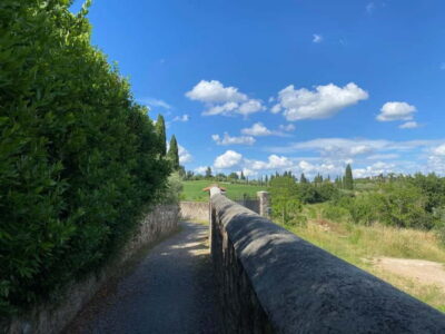 Premium Chianti E-Bike Tour, Food Wine Tasting + Photo shoot - The Piazzale Michelangelo stop: photos that don’t feel rushed
