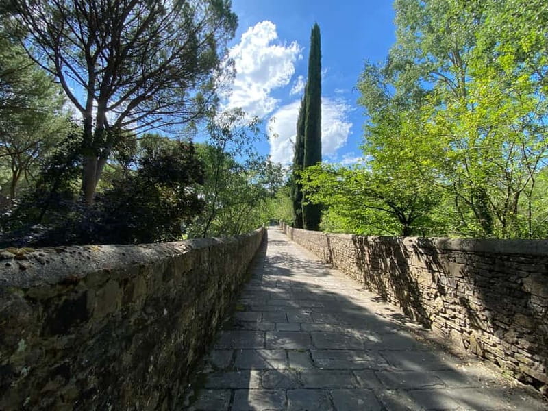 Premium Chianti E-Bike Tour, Food Wine Tasting + Photo shoot - Who this tour suits best (and who should skip it)