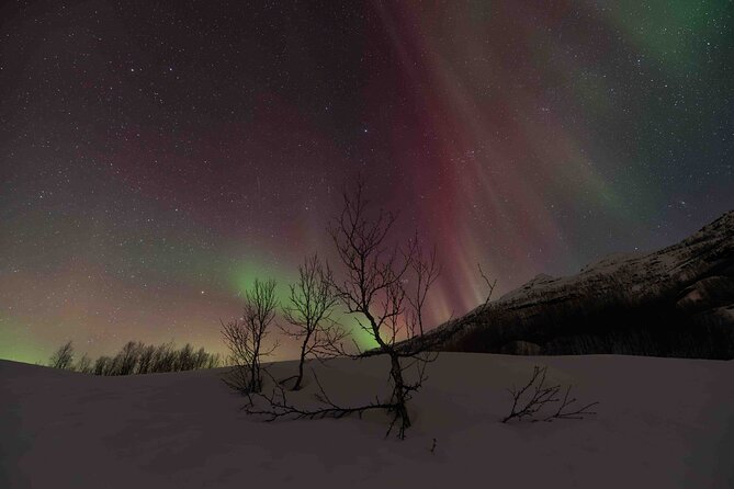 Private Aurora Hunting with Professional Photographer from Alta - Key things to know before you go