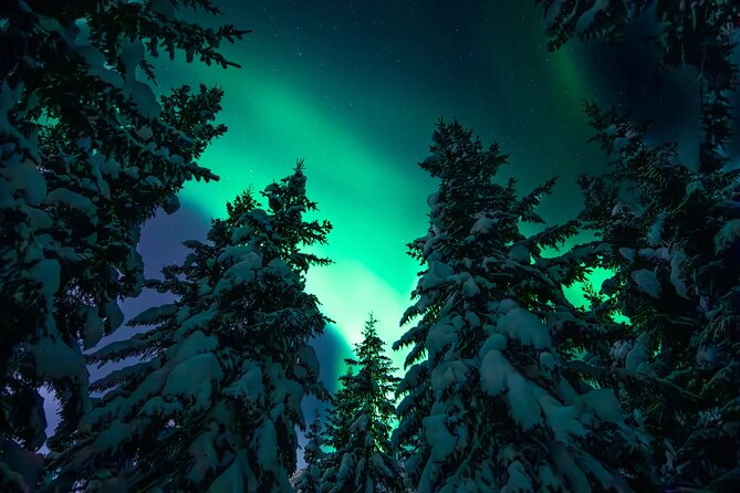 Private Aurora Hunting with Professional Photographer from Alta - Weather Chess in Alta: Why This Hunt Works Better Than Guessing