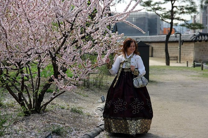 Private day tour Korea(Seoul trip) with Professional Photographer - How the Photographer Makes the Day Feel Easy