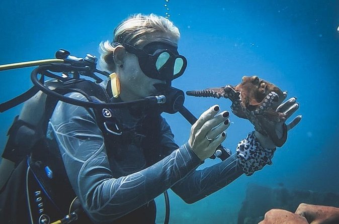 Private Dive + videographer/Photographer (Certified divers only) - How you get 25 professionally edited images (and what to do with them)