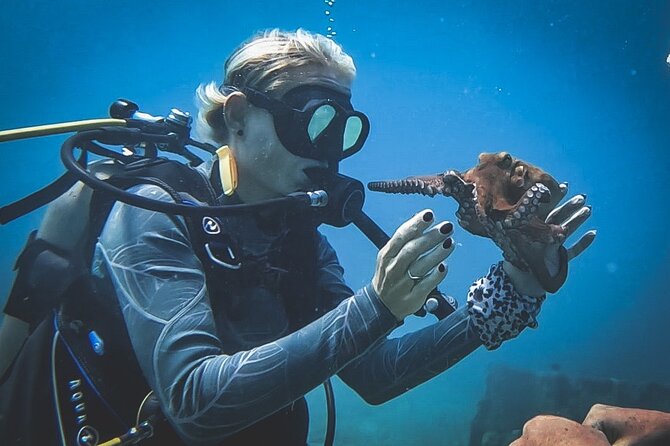 Private Dive + videographer/Photographer (Certified divers only) - Optional $45 boat-based entry: when it’s worth it